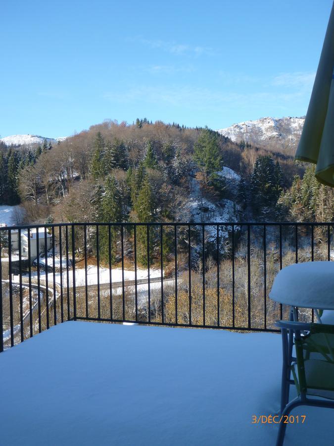 Logis Hotel Les Tilleuls Saint-Cirgues-de-Jordanne 외부 사진